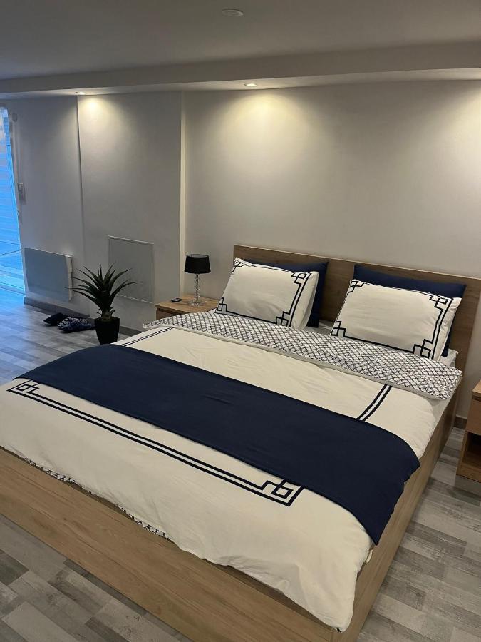 Tres Bel Appartement Type Loft De 40 M2 Dans Maison Avec Parking Privatif Lingolsheim Exterior photo