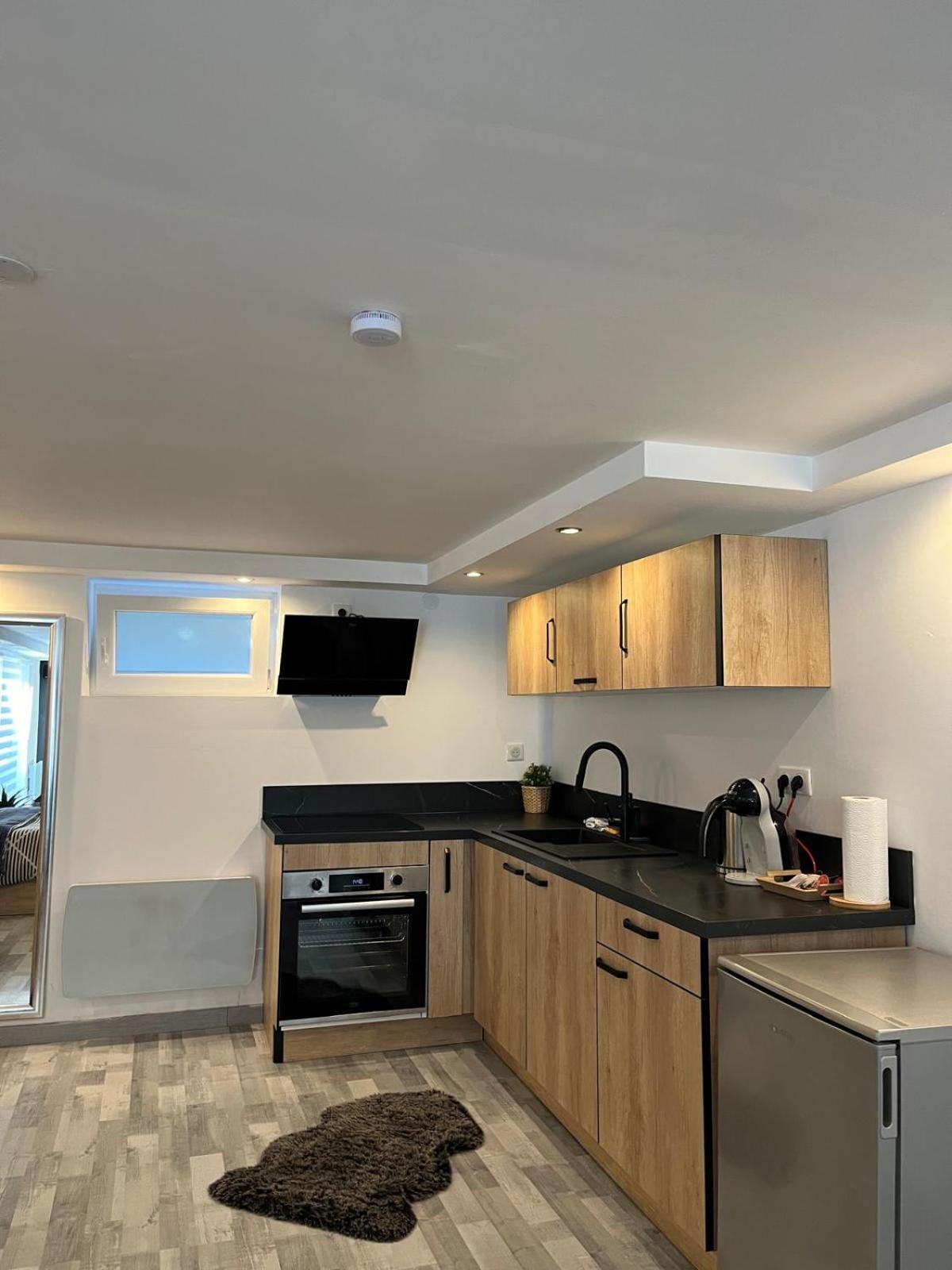 Tres Bel Appartement Type Loft De 40 M2 Dans Maison Avec Parking Privatif Lingolsheim Exterior photo